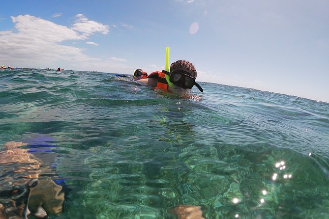 Guided Tour of Puerto Morelos Reefs with Snorkeling Experience - Convenient Hotel Pickup and Drop-Off in Cancun