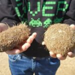 Guided tour of the Ebro Delta (North Delta) - The Itinerary: From Rice Fields to Natural Parks