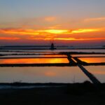 Guided tour of the Marsala Salt Pans and salt harvesting - Exploring the Natural Landscape of the Stagnone Islands