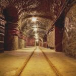 Guided tour to Auschwitz Birkenau museum from Krakow with lunch - What to Expect at Auschwitz I and Birkenau