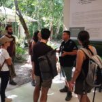 Guided Tour to Calakmul and Jungle Trail | From Bacalar. - Walking through the Dense Jungle with Expert Guides