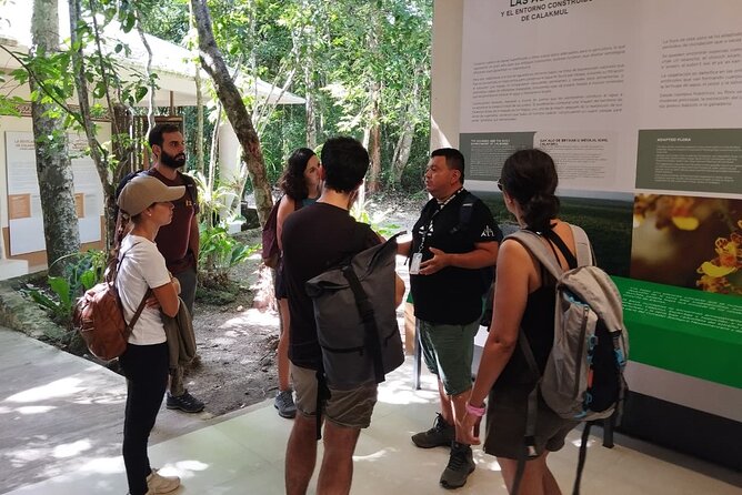 Guided Tour to Calakmul and Jungle Trail | From Bacalar. - Walking through the Dense Jungle with Expert Guides