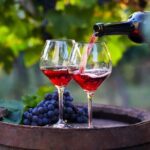 Guided Tour to Davit Gareji - The Hidden Gem of Georgia - Tasting Georgia’s Iconic Wines at KTW Wine House