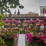 Guided Tour to the Popular Patios of Cordoba - Starting Point: Meeting at Calle Caballerizas Reales