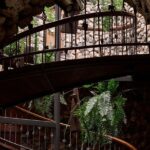 Guided Tour with 6 Wine Tasting - The Terrace and the First Stage of Wine Creation