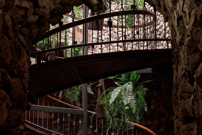 Guided Tour with 6 Wine Tasting - The Terrace and the First Stage of Wine Creation