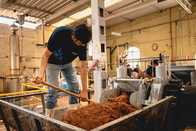 Guided Tour with Tasting in Tequilera Hacienda de Oro - Visiting the Boutique Tequila Distillery