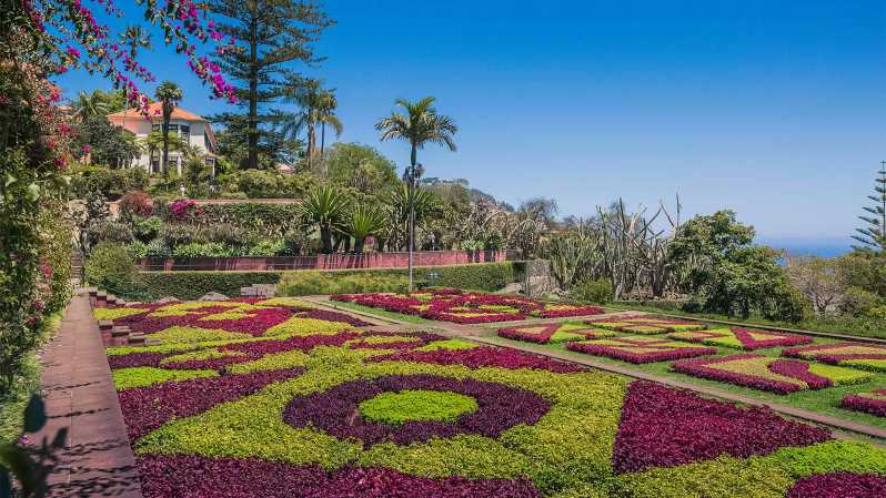 Guided Tuk-Tuk Tour to Botanical Garden (From Funchal) - Starting Point at Avenida do Mar in Funchal
