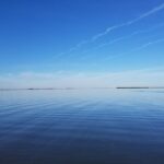 Guided Two Hour Boat Tour of the Indian River Lagoon - Meeting Point and Accessibility