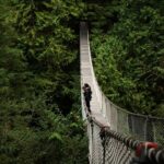 Guided Vancouver Hiking Highlights Day Tour with Gondola Download - Exploring Grouse Mountain’s Attractions