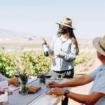 Guided Vineyard Tour with Wine Tasting at Rondo del Valle - The 15-Minute Guided Vineyard Walk