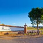 Guided visit to the Las Terceras cheese farm - Exploring Las Terceras: A Typical La Mancha Farm