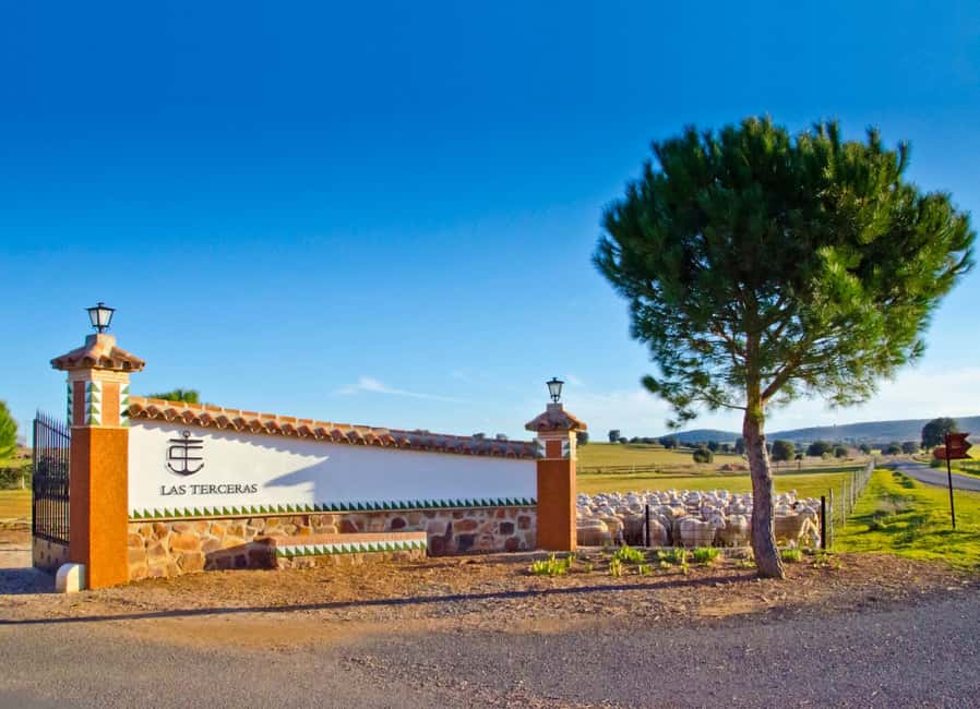 Guided visit to the Las Terceras cheese farm - Exploring Las Terceras: A Typical La Mancha Farm