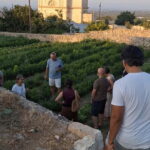 Guided visit to the Medieval Gardens of Ostuni - Walking Through the Historic Gardens and Stone Terraces
