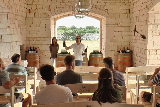 Guided Visit to the Vineyard with Wine Tasting - Starting Point in Martina Franca for a Close Look at Local Winemaking