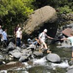 Guided Walking Route to Caldera de Taburiente - Swimming and Refreshing Breaks Along the River