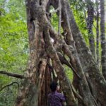 Guided walking tour in the Palenque jungle (Palenque National Park) - How the Tour Starts at Paraiso Maya Palenque
