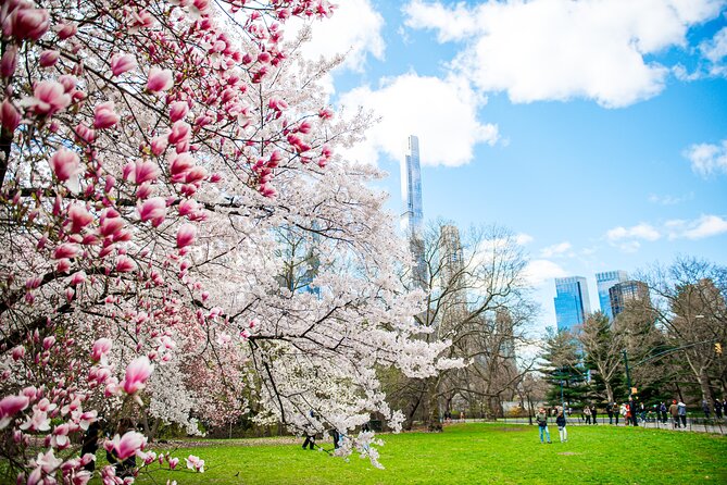 Guided Walking Tour Of Central Park - Central Parks Iconic Mall and Public Events