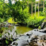 Guided Waterfall and Jungle Hiking Tour - Tidepool Encounters at Makapuu and Kaena Point