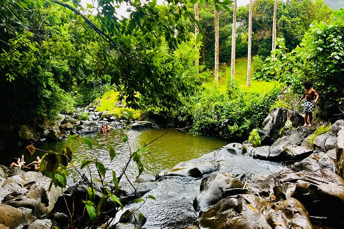 Guided Waterfall and Jungle Hiking Tour - Tidepool Encounters at Makapuu and Kaena Point