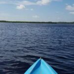 Guided Wildlife Eco Kayak Tour in New Smyrna Beach - Wildlife You Might Encounter