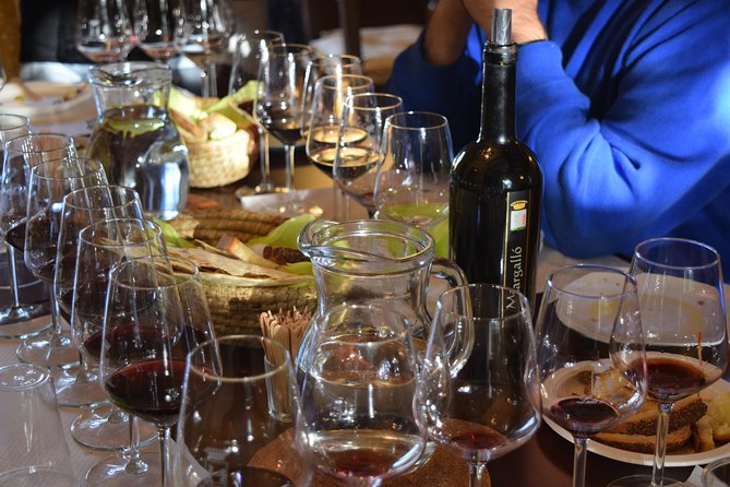 Guided Wine and Olive oil tasting - From the Meeting Point in Alghero to the Winery
