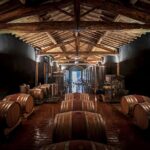 Guided Winery Tour and Wine Tasting in Siena - Tasting Five Organic Wines with Food Pairings