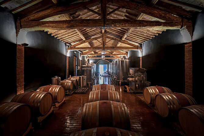 Guided Winery Tour and Wine Tasting in Siena - Tasting Five Organic Wines with Food Pairings