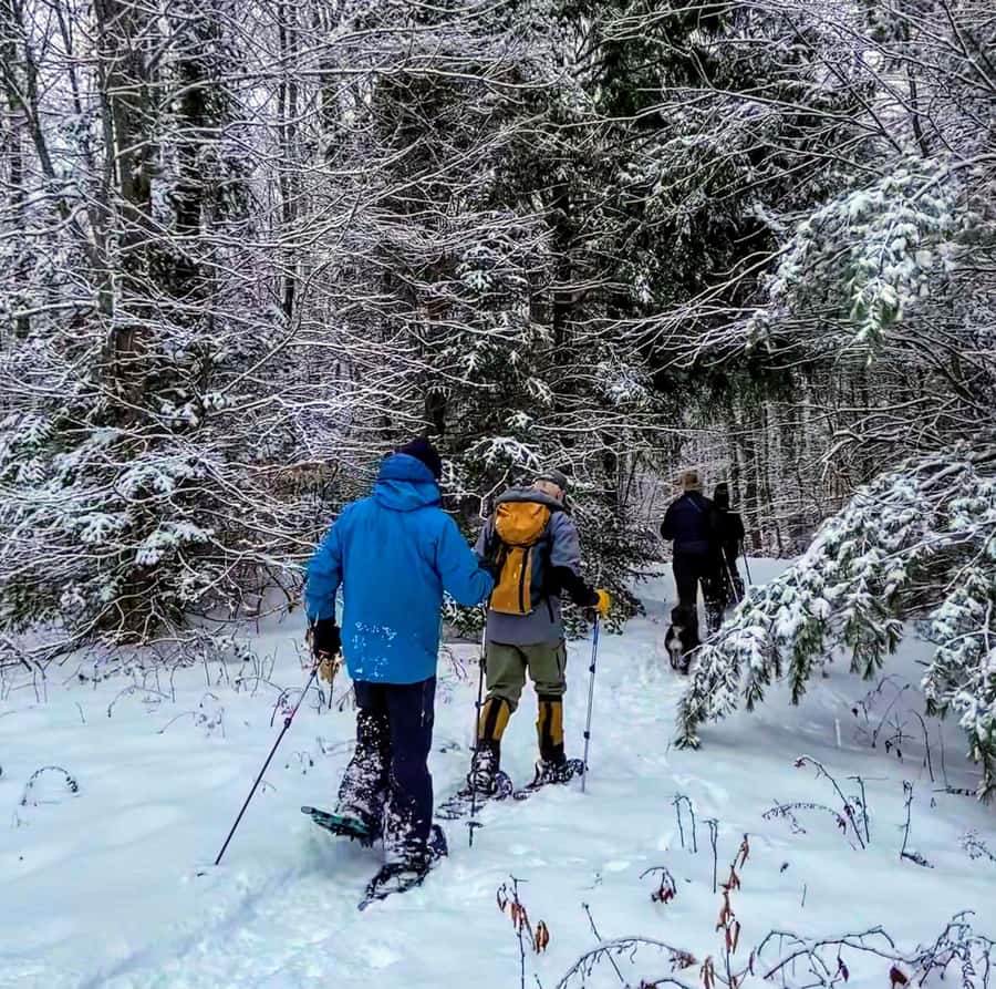 Guided Winter Snowshoe Adventure from Boston - What the Snowshoeing Experience Looks Like