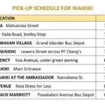 Haleiwa Express & Dole Plantation - Dole Plantation: Pineapple Train Rides and Maze Adventures