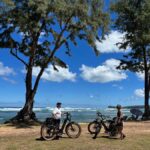 Haleiwa: North Shore Guided Electric Bike Tour - What the 2-Hour eBike Ride Encompasses