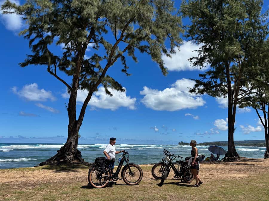 Haleiwa: North Shore Guided Electric Bike Tour - What the 2-Hour eBike Ride Encompasses
