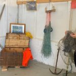 Half Day Arctic Fjord Cruise from Tromso - Starting Point and Logistics in Tromso