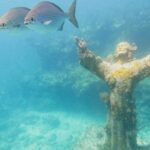 Half Day Christ of the abyss tour with Snorkel Equipments - The Marine Environment at Dry Rocks Reef