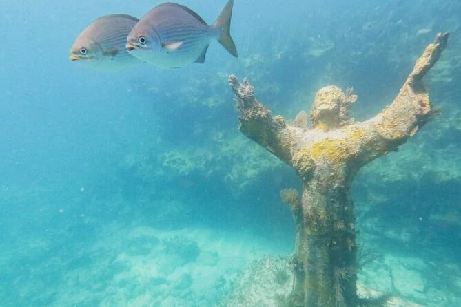 Half Day Christ of the abyss tour with Snorkel Equipments - The Marine Environment at Dry Rocks Reef