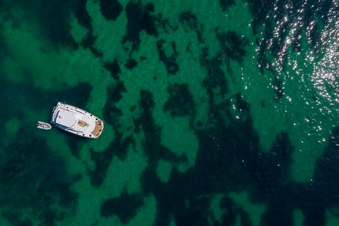 Half Day Cruise 3H Morning or Afternoon - West Rock Formations - The Itinerary: From Praia da Falesia to the Hidden Caves