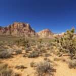 Half-Day Electric Bike Tour of Red Rock Canyon - Scenic Highlights of Red Rock Canyon
