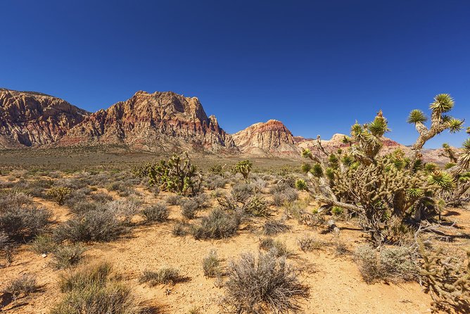 Half-Day Electric Bike Tour of Red Rock Canyon - Scenic Highlights of Red Rock Canyon