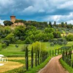 Half Day Escape to Chianti: Taste the Heart of Tuscany - Starting Point and Transportation Logistics