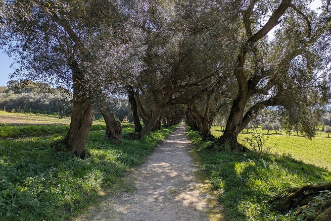 Half-day excursion around Santiago - Visiting the Magnificent Pazo de Rivadulla and Its Gardens