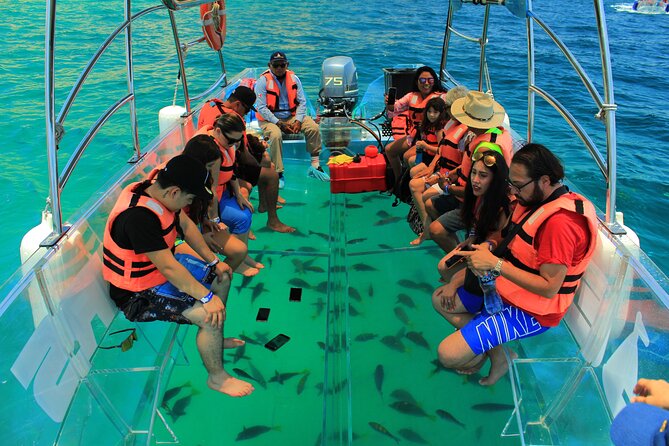 Half-Day Exploring the Arch of Cabo San Lucas Guided Tour - Exploring Lands End and the Iconic Arch