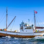 Half-Day Fishing & Fjord Cruise Adventure from Tromsø in Norway - Try Your Hand at Fishing for Cod with Provided Rods