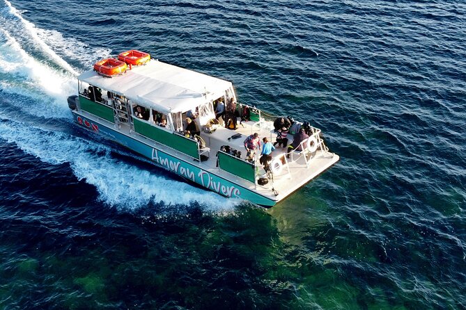 Half-Day Florida Keys Catamaran Snorkel Adventure - The Reefs and Marine Life Encounter