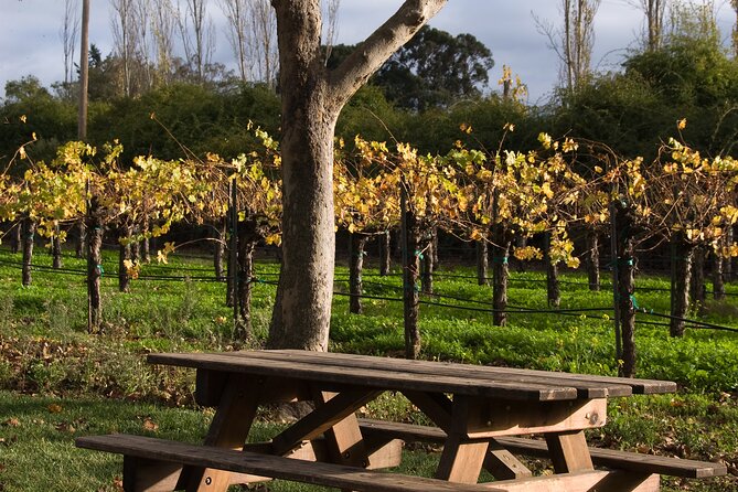 Half-Day Gramma Wine Tasting Tour in Iasi - Touring Iasi’s Main Attractions from a Panoramic Perspective