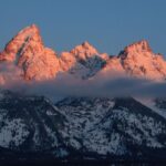 Half-Day Grand Teton Wildlife Private Safari Tour - Starting Point: Pickup and Transportation in Jackson Hole