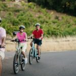 Half Day Guided Electric Bike Wine Tasting Tour with Lunch - Tasting at Two Top Sonoma Wineries