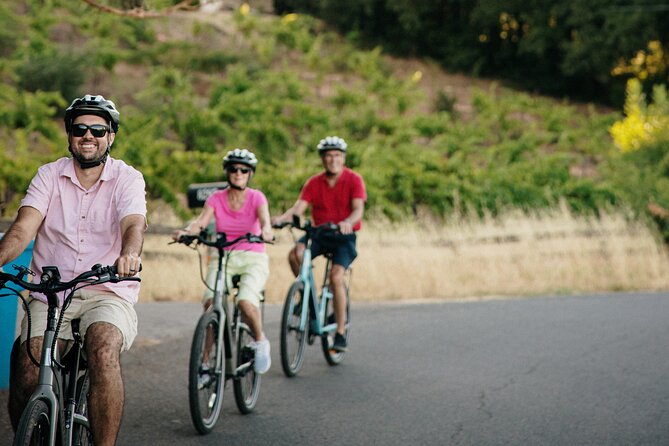 Half Day Guided Electric Bike Wine Tasting Tour with Lunch - Tasting at Two Top Sonoma Wineries