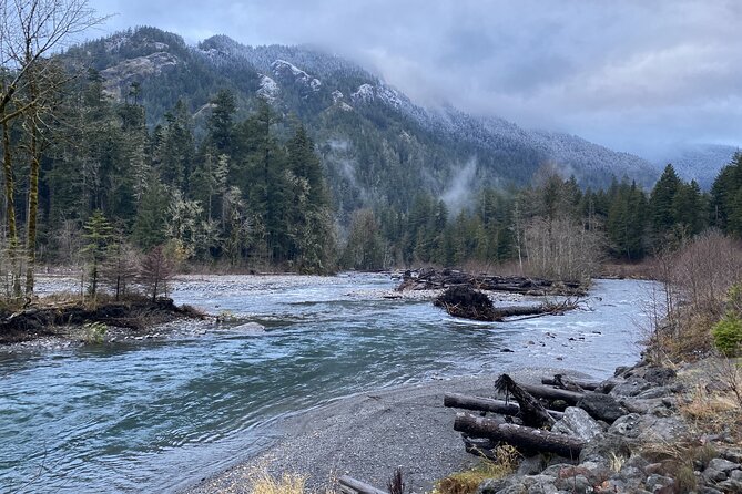 Half Day Guided Tour of Olympic National Park - Pickup and Meeting Details in Port Angeles