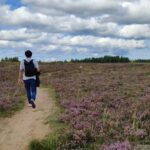 Half Day Hiking Tour in Beautiful Estonian Nature - Starting from Tallinns Freedom Square to the Peaceful Paukjärv Nature Reserve