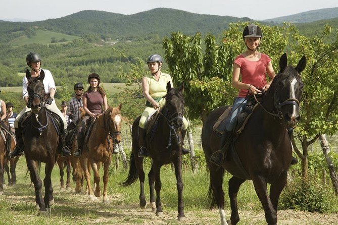 Half-Day Horseback Ride in Tuscany - Riding Experience and Horses